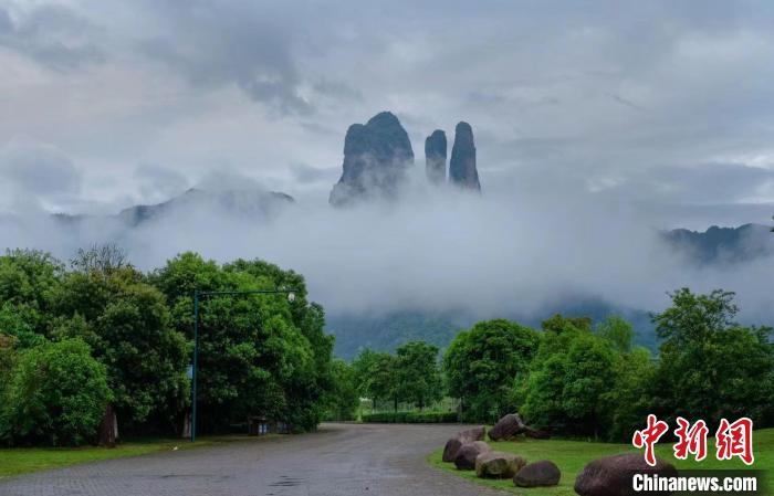 云雾缭绕的江郎山 江山市文化广电旅游局供图