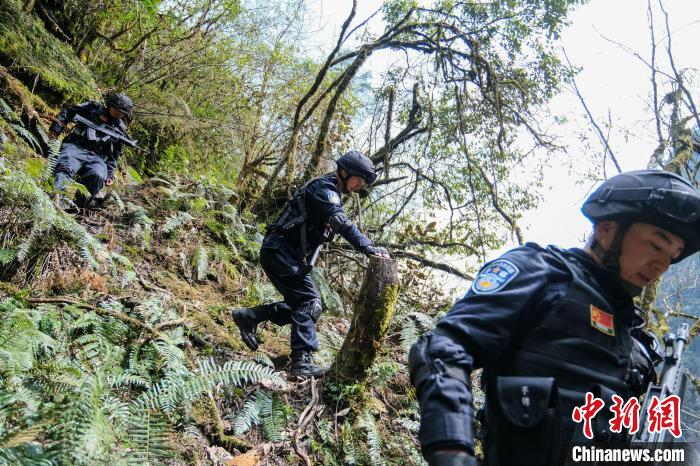 4月9日，拉郊边境派出所移民管理警察在边境地区原始森林进行戍边巡逻。　江飞波 摄