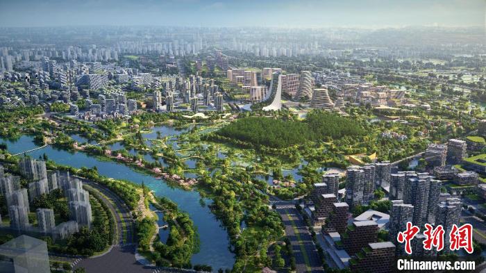 广东顺德“鹭鸟天堂”扩容至百公顷打造湿地公园
