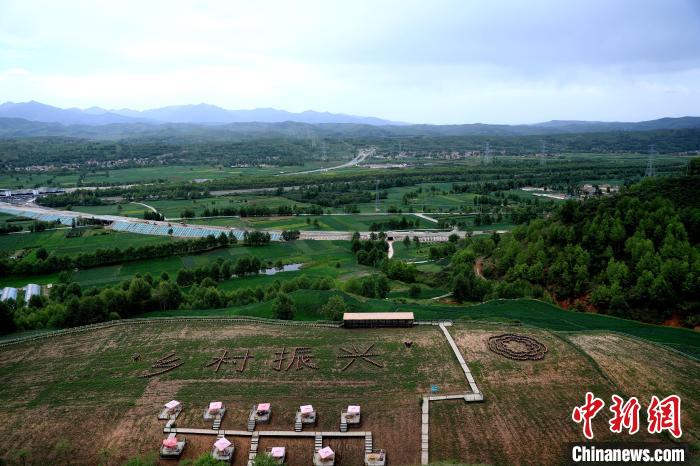 培育村游“花”业态青海一山村变“网红”